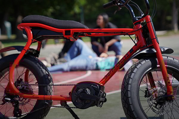 RUFF CYCLES eBike Lil’Buddy