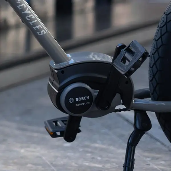 RUFF CYCLES Biggie epowered by Bosch