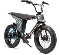 RUFF CYCLES Lil’Loco - Navigation